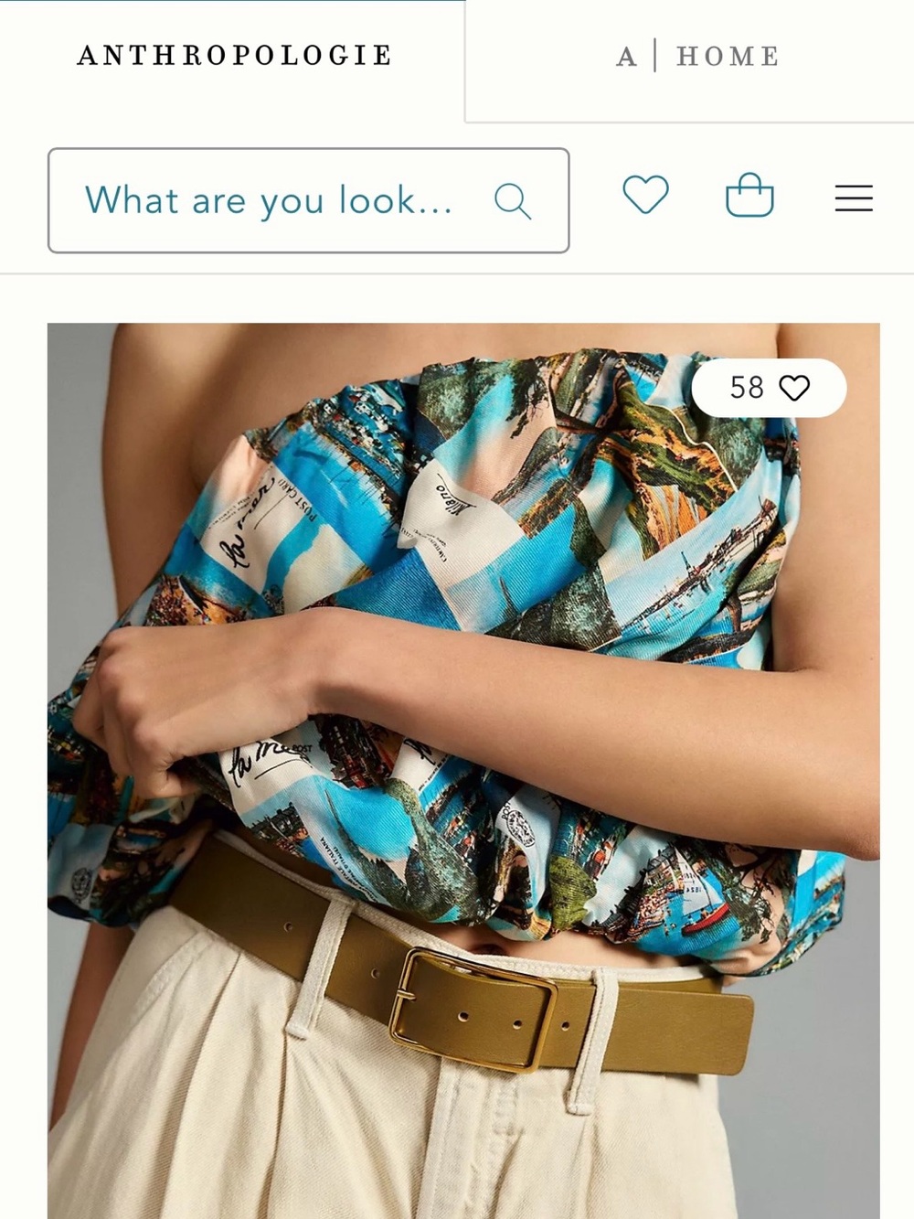 Maeve Anthropologie Blue Scenic Print Bubble Top Size M